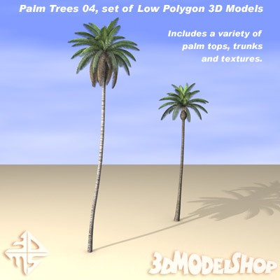 Palm Trees 04 - Set Main Image