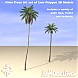 Palm Trees 04 - Set