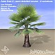 Palm Tree 03