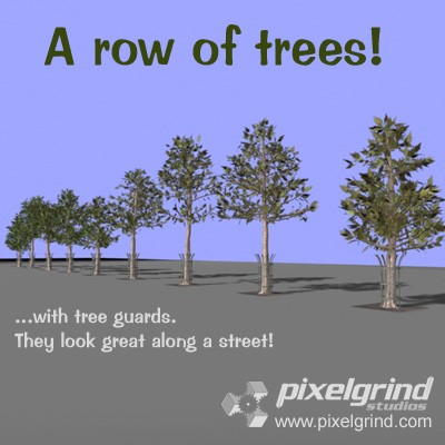 Row of Trees 01 Main Image