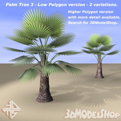 Palm Tree 03 - Low Polygon Main Image