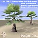 Palm Tree 03 - Low Polygon