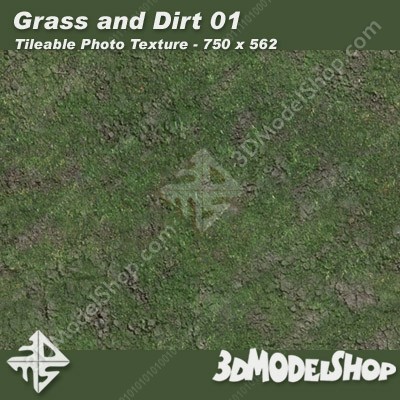 Grass and Dirt 01 Main Image