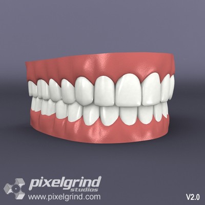 3D Teeth v02 Main Image