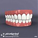 3D Teeth v02