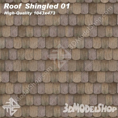 Roof Shingled 01 Main Image